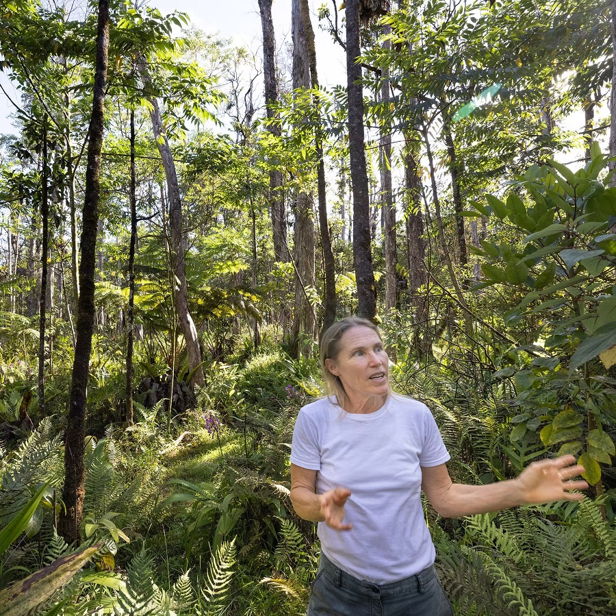 Jaya Dupuis đứng đầu Phục hồi Môi trường Hawaii, một nhóm bảo tồn bảo vệ cây ohi'a. (Ảnh của Akira Takemura)