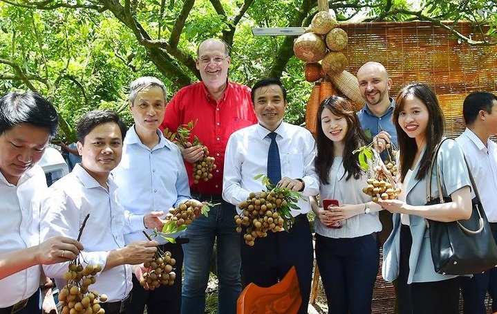 Đoàn đại biểu và khách quốc tế tham quan, trải nghiệm tại vườn nhãn xã Hồng Nam, Thành phố Hưng Yên