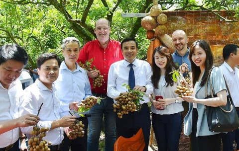 Dimocarpus longan is promoted by Hung Yen to overseas visitors