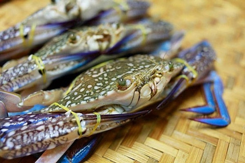 The world's three “big men” race to import Vietnamese crabs