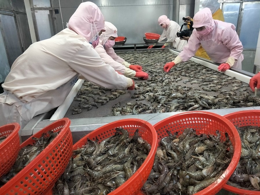 Vietnamese firms account for more than 92% of seafood export turnover.