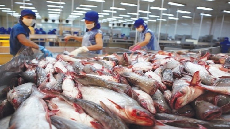 Photo: Mexico - Vietnam's potential pangasius export market.