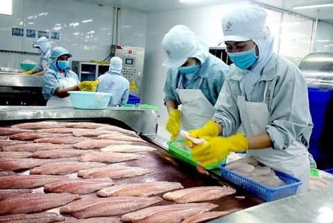 Mexico is third in the world in terms of Vietnamese pangasius imports