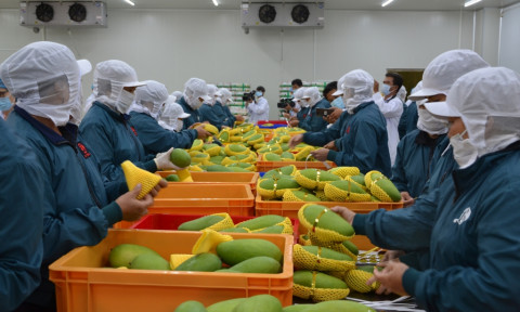 Fruit and vegetable exports to China continue to decline