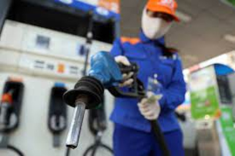 Ensuring the supply of petroleum for the domestic market