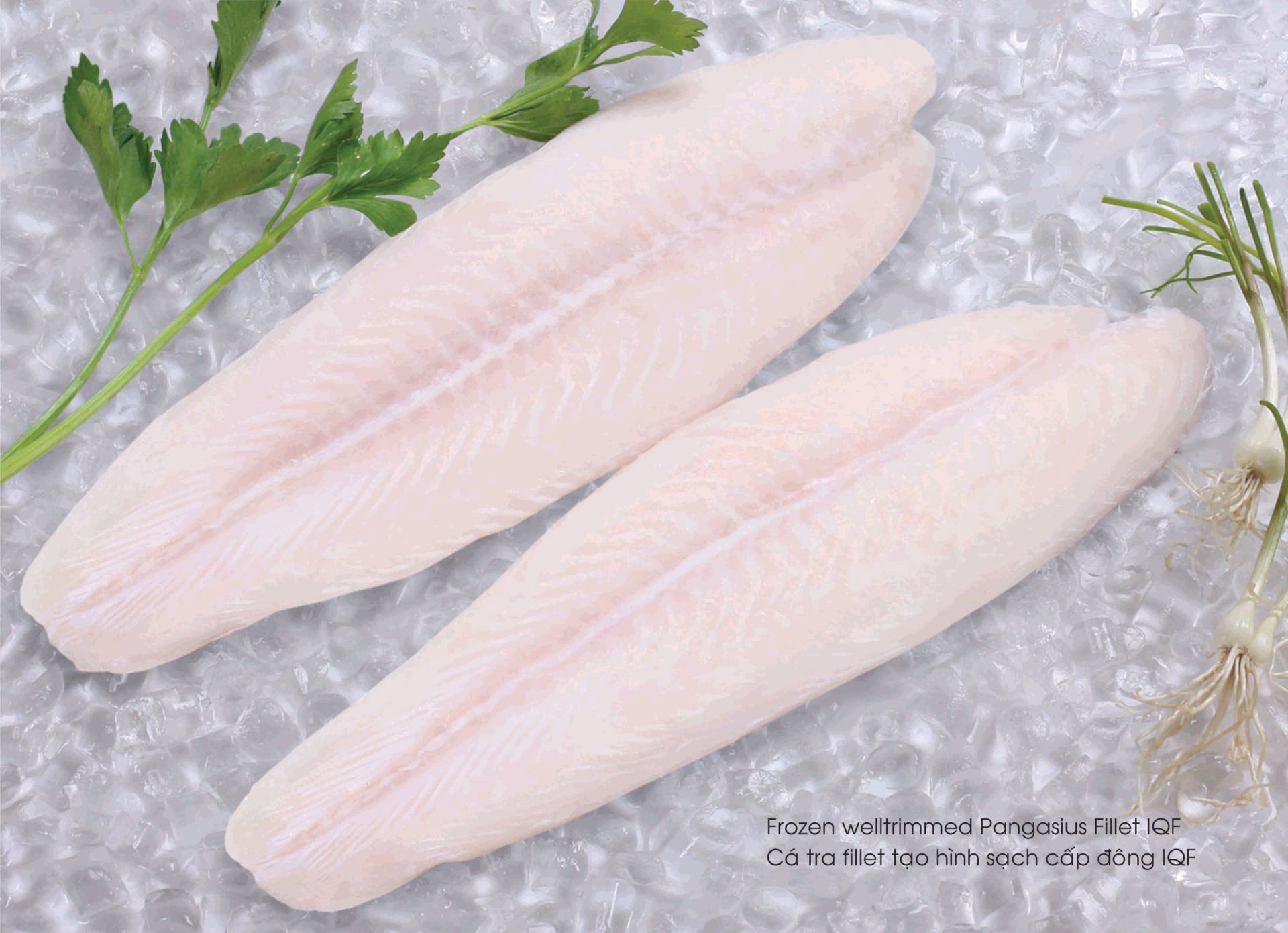 Pangasius fillets have mostly replaced other white fish in the European-American market.