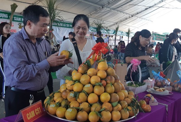 Cao Phong orange was named one of the top 100 Vietnam gift specialities.