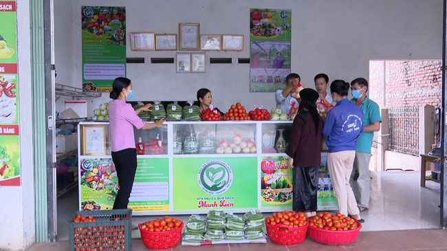 Điểm bán hàng của HTX rau củ quả sạch Mạnh Liên (xã Hương Nộn).