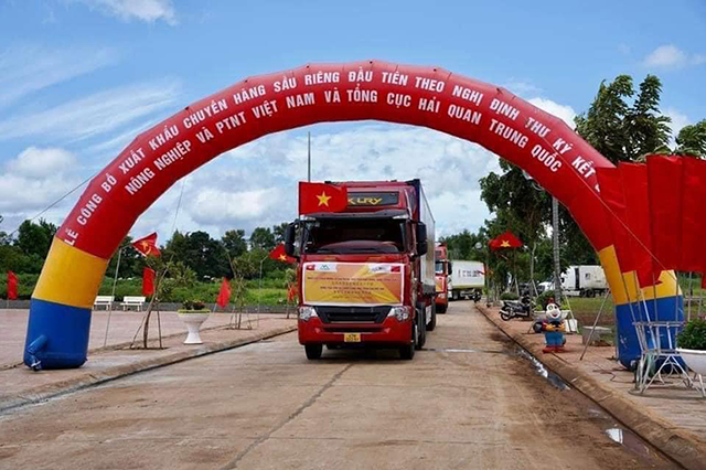 Quang cảnh lô hàng sầu riêng đầu tiên được xuất khẩu chính ngạch tại Đắk Lắk