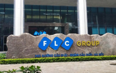Chủ tịch HĐQT Khai Khoáng và Quản lý Tài sản FLC xin từ nhiệm