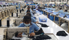 Nghệ An: Hơn 300 doanh nghiệp tham gia hoạt động xuất khẩu