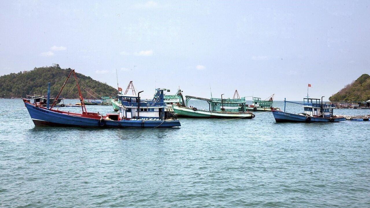 The elimination of the yellow card, as well as the total refusal of the EC to withdraw the "red card," has a particularly significant impact on the life of fishermen and the seafood export business.