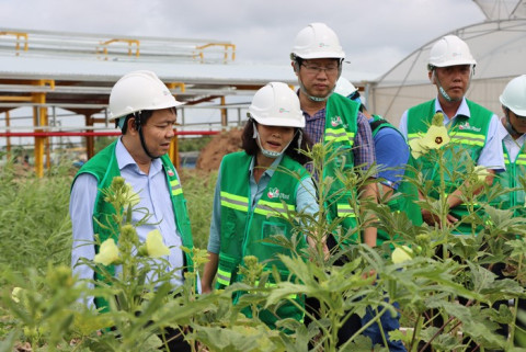 Dong Thap plans to begin testing the Thanh Ngoc agricultural product processing facility by the end of this year