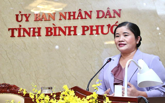 Phó Bí thư tỉnh ủy, Chủ tịch UBND tỉnh Trần Tuệ Hiền phát biểu tại hội thảo