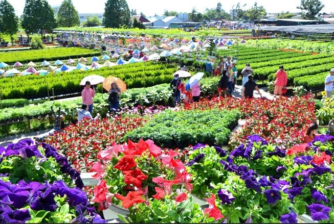 A corner of Sa Dec flower village.