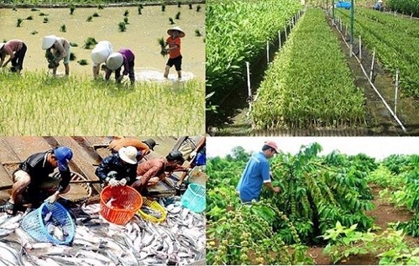 9 tháng năm 2022: Sản xuất nông, lâm nghiệp tăng trưởng mạnh