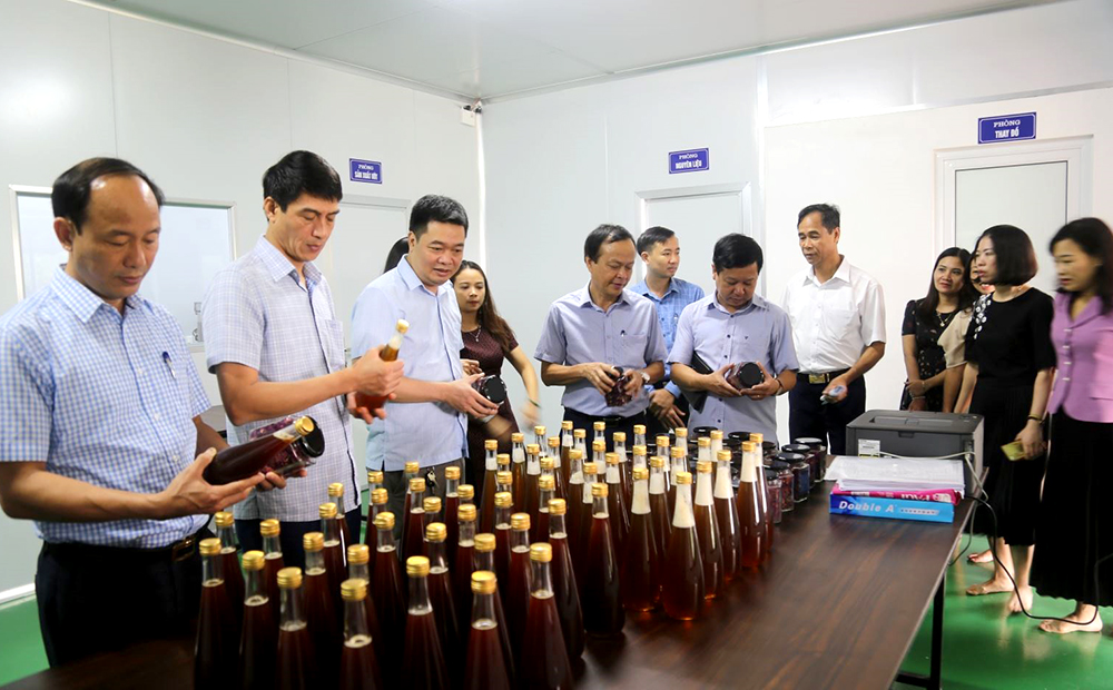 Thành viên Hội đồng đánh giá, phân hạng sản phẩm OCOP tỉnh kiểm tra cơ sở sản xuất Mật ong hoa hồng Phúc An của Công ty TNHH Phúc An House