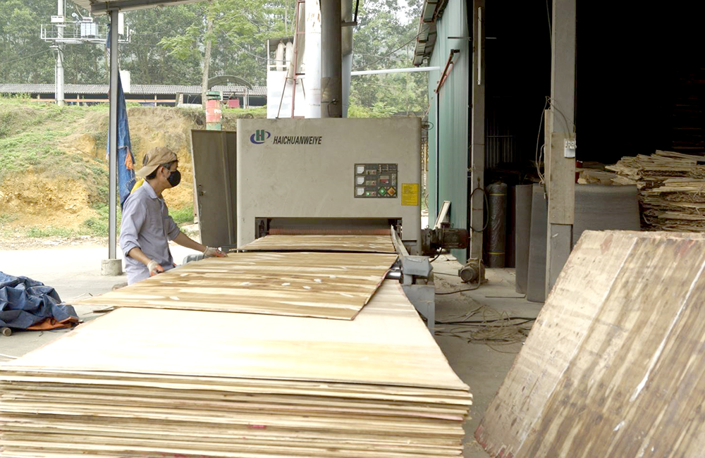 Công ty TNHH thương mại dịch vụ xuất khẩu Việt Nam - khu Liên Đồng, thị trấn Thanh Sơn, huyện Thanh Sơn đầu tư máy móc, công nghệ chế biến gỗ để nâng cao năng suất, chất lượng, sức cạnh tranh cho sản phẩm.