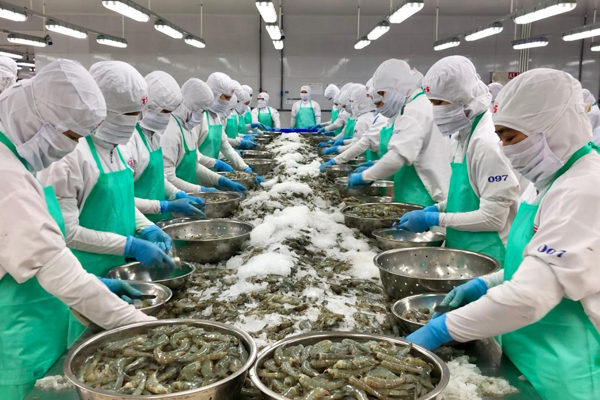 Doanh nghiệp xuất khẩu thủy sản Việt Nam cần nghiên cứu quy định mới của Nhật Bản