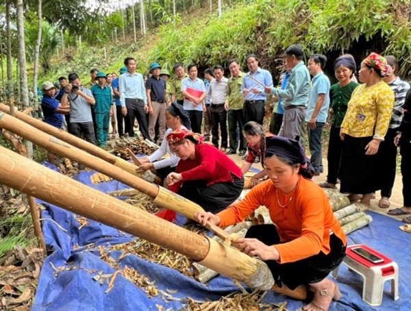 Lãnh đạo tỉnh Lào Cai thăm cơ sở quế giống tại huyện Bảo Yên.