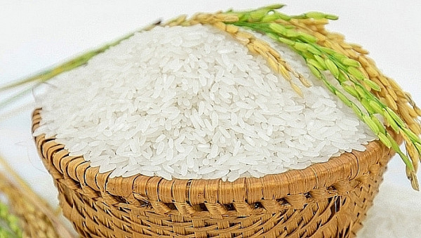 Giá lúa gạo hôm nay 16/12: Chững lại và có xu hướng đi ngang