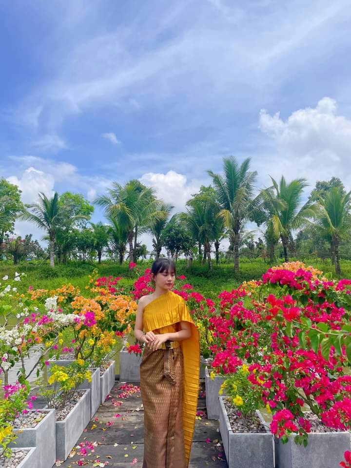 The bougainvillea garden is brilliant in early spring