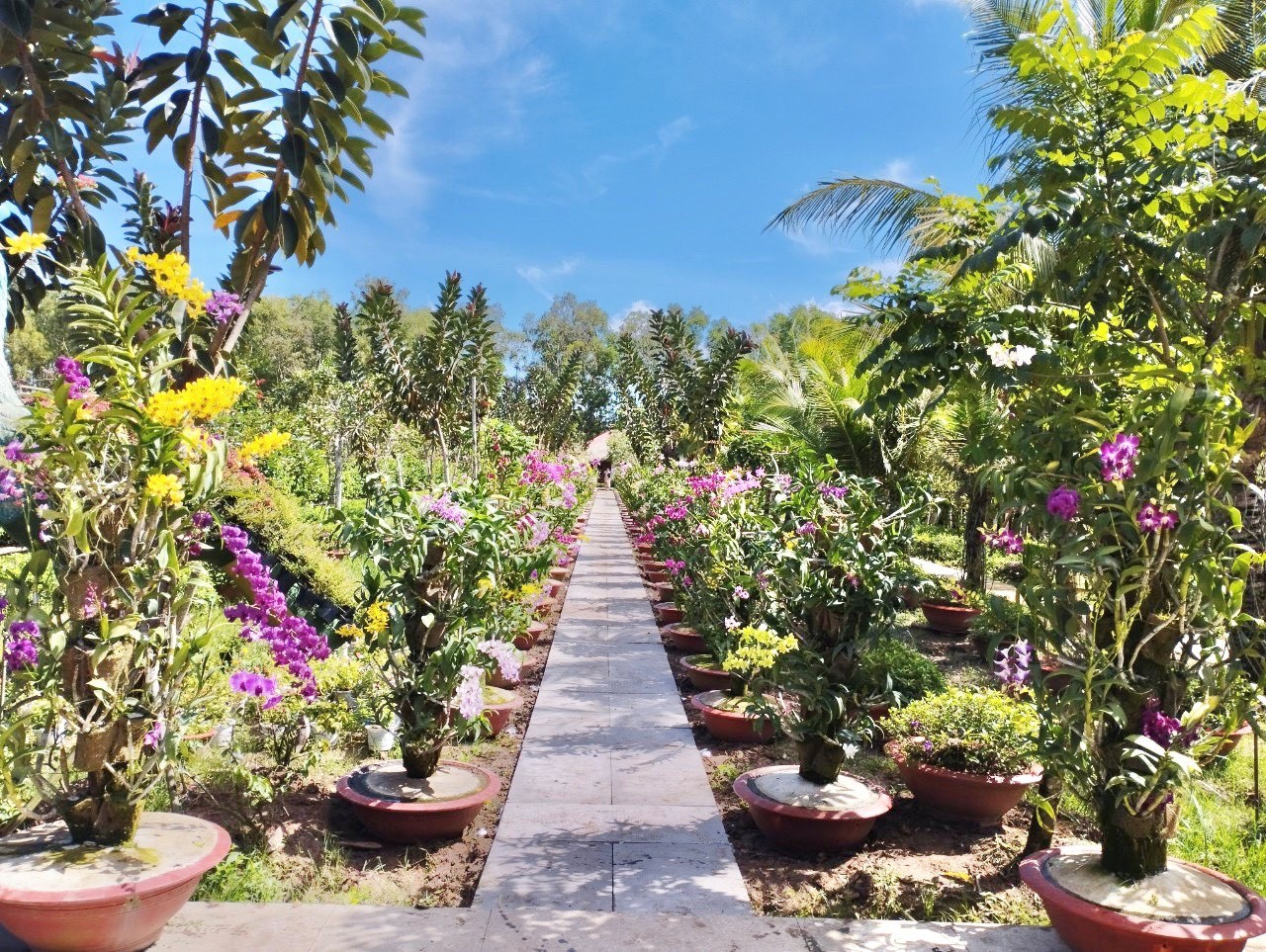 Spring orchids show off the beauty of the border region