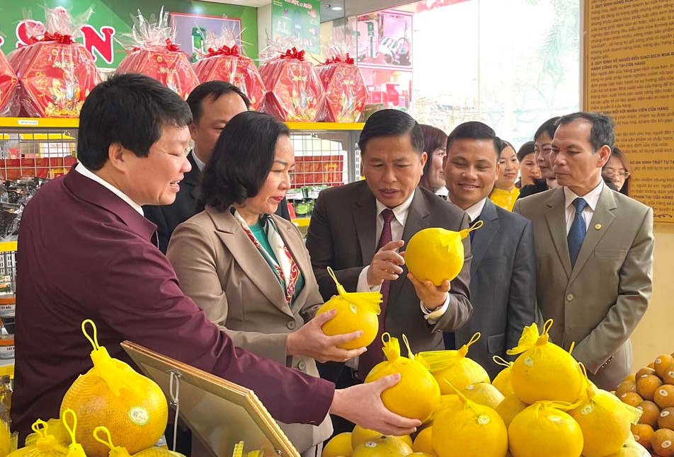 Các đại biểu tham quan gian hàng tại Cửa hàng nông sản tiêu biểu – OCOP tỉnh Hòa Bình.
