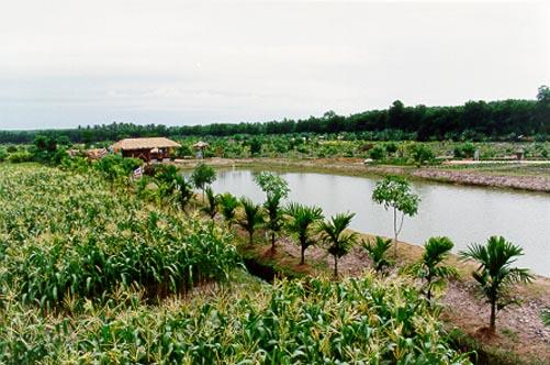 Pikun Thong Development Study Centre in Narathawit province, Thailand, which was initiated by His Majesty King Bhumibol Adulyadej The Great to serve as a model for farmers nationwide in improving the quality of soil.
Source: Thailand Tourism Directory website