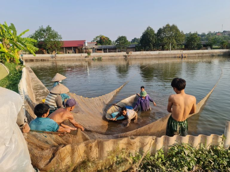 Khai thác thủy sản tại xã Văn Khúc, huyện Cẩm Khê
