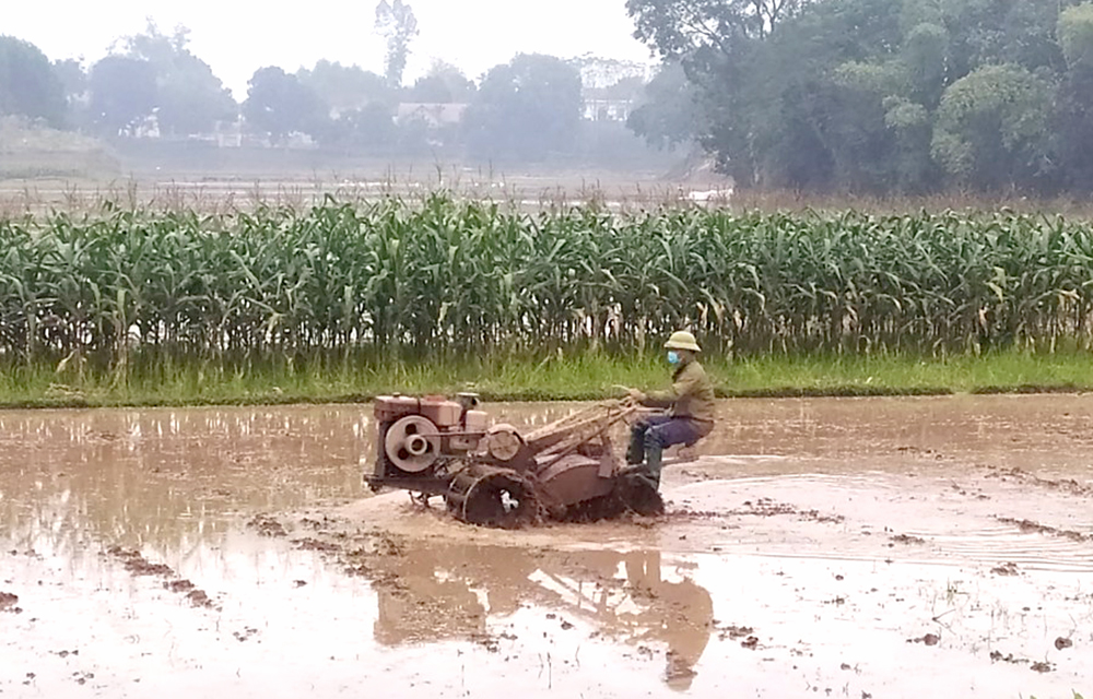 Nông dân xã Võ Lao, huyện Thanh Ba khẩn trương làm đất, chuẩn bị gieo cấy vụ Xuân.
