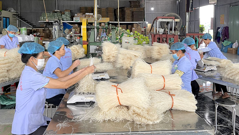Nguồn vốn của Quỹ TDND Hùng Lô (TP Việt Trì) đã giúp cho nhiều thành viên trong khu vực đầu tư phát triển nghề sản xuất mì gạo