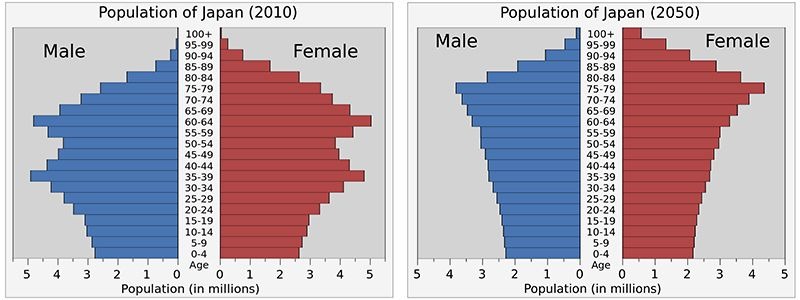 Tháp dân số ở Nhật Bản năm 2010 và 2050: Có sự thay đổi rõ rệt về số người trong tuổi lao động. (Ảnh: Wikipedia)
