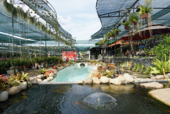 Nhà vườn hoa lan Cầu Ván - Điểm mới cho du khách miền Tây