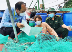 Quản lý khai thác hải sản: Thực thi một số quy định pháp lý mới còn hạn chế và không đồng đều