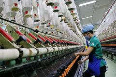 Tháng 1/2023, kim ngạch xuất khẩu hàng hóa của Hà Tĩnh đạt hơn 163 triệu USD