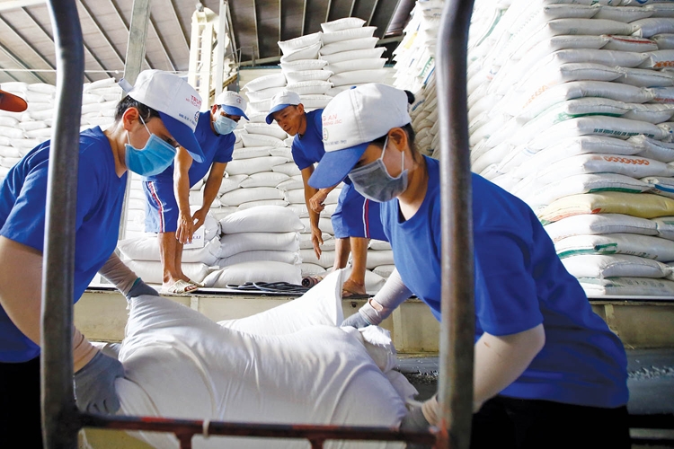 Tháng 1/2023 xuất khẩu gạo của Việt Nam ước đạt 400.000 tấn