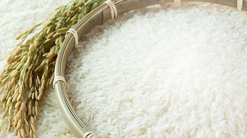 Trên thị trường thế giới, giá chào bán gạo Việt duy trì ổn định ở mức 393 USD/tấn đối với gạo 5% tấm, 373 USD/tấn đối với gạo 25% tấm và 328 USD/tấn đối với gạo 100 tấm.