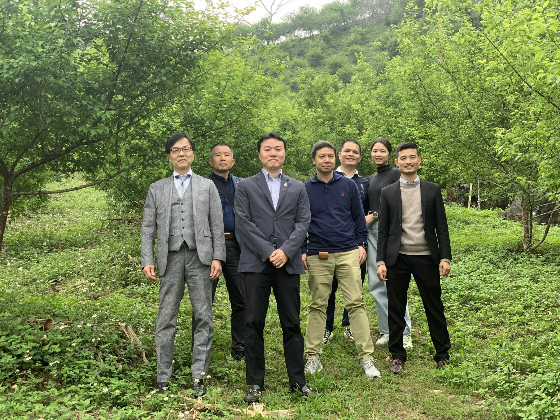Đoàn DN Nhật Bản tham quan tại Rừng Mơ - Vùng nguyên liệu mơ nhà máy Asuka Việt Nam
