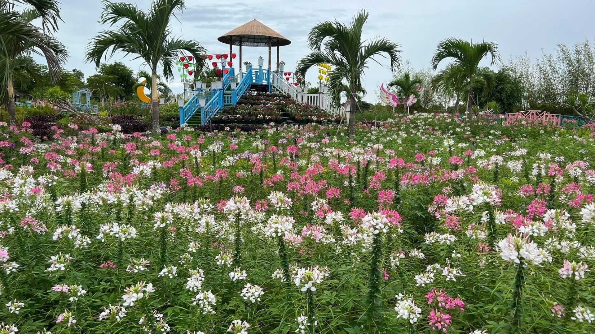 Flower garden in Phuong Nam Cultural Tourist Area.