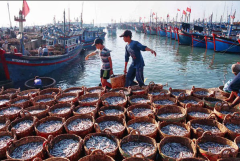 Nam Định: Tận dụng lợi thế phát triển kinh tế biển nâng cao thu nhập cho người dân