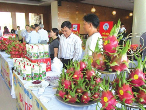 Binh Thuan connects and puts products into the distribution system in Ho Chi Minh City