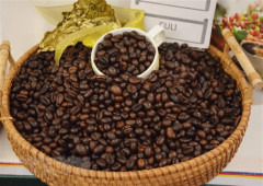 Tây Ban Nha: Việt Nam là nguồn cung cấp cà phê lớn nhất, đạt 113.550 tấn trong năm 2022