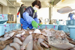Hàn Quốc: Kim ngạch nhập khẩu hải sản từ Nhật Bản đạt kỷ lục trong năm 2022