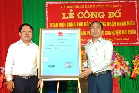 Lãnh đạo UBND huyện Mai Châu trao Bằng bảo hộ và chứng nhận nhãn hiệu 