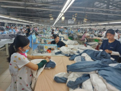 Tăng thêm hơn 5000 lao động có việc làm trên địa bàn tỉnh Phú Thọ
