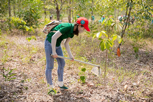 Người tiêu dùng trong chuyến đi trải nghiệm chăm sóc rừng tại Khu Bảo tồn Thiên nhiên Văn hóa Đồng Nai do Nestlé Việt Nam tổ chức vào tháng 03/2023