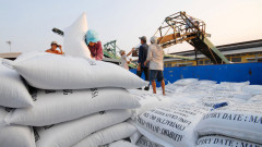 Giá trị và giá gạo xuất khẩu đang tăng mạnh trong quý I/2023