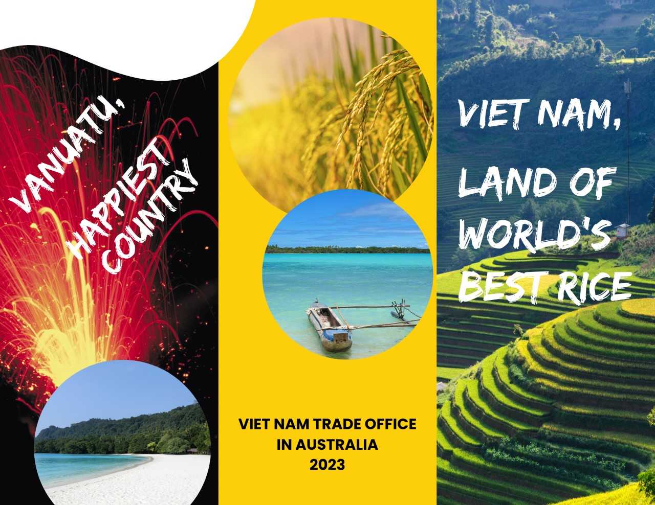 Poster quảng cáo “Viet Nam, vùng đất của gạo ngon nhất thế giới” được Thương vụ triển khai tại địa bàn kiêm nhiệm Vanuatu