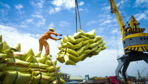 Many positive signals for Vietnam's rice exports in the second quarter of 2023